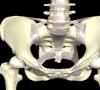 Simfizitis: koliko je opasno odstupanje kostiju zdjelice tijekom trudnoće Artikulacija tijekom trudnoće