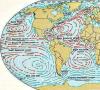 Svjetske oceanske struje - razlozi nastanka, shema i nazivi glavnih oceanskih struja