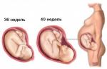 Nouă lună de sarcină: pregătirea pentru naștere și sarcina restante De ce timp de 9 luni de sarcină