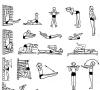 Exerciții pentru prevenirea încălcărilor și corectarea posturii