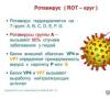 Rotavirus la adulți: cauze, diagnostic, simptome, tratament
