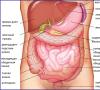 Tema: tanko i debelo crijevo