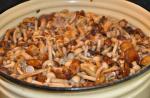 Recepten voor het koken van gebakken champignons In boter gebakken honingpaddestoelen