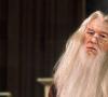 Albus Dumbledore a fost bun sau rău?