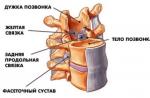 Hipertrofija žutih ligamenata: simptomi i liječenje Žuti ligamenti kralježnice su hipertrofirani