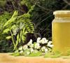 Traditionele recepten met honing voor de gezondheid