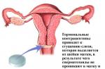 Cum să alegi pilulele anticoncepționale hormonale potrivite Mecanismul de acțiune al pilulelor anticoncepționale