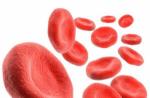 Numărul complet de sânge: indicatori, norme, pregătire